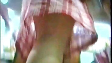 బ్రేజర్‌లు: పోర్న్‌హెచ్‌డిలో టేలీ తెలుగు లో దెన్గులాట సెక్స్ వుడ్‌తో బేరం హంపింగ్