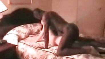 BRAZZERS: పోర్న్‌హెచ్‌డిలో రాచెల్ స్టార్‌తో తెలుగు లో సెక్స్ కిచెన్ సెక్స్