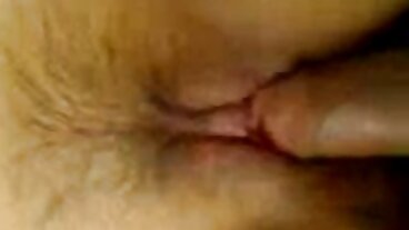 BRAZZERS: పోర్న్‌హెచ్‌డిలో తెలుగు లో సెక్స్ సినిమా వెడ్డింగ్ క్రీమర్ పేటన్ ప్రీస్లీ